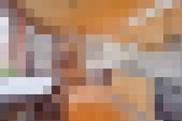 Turfstraat 10 Sprundel thumbnail 17