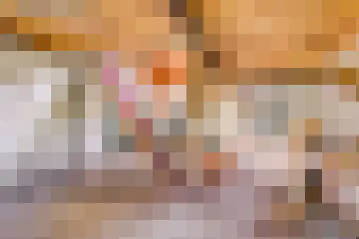 Turfstraat 10 Sprundel thumbnail 38