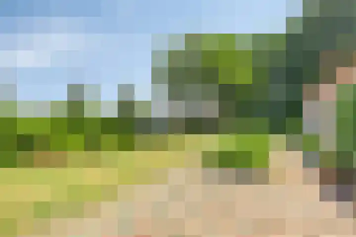 Turfstraat 10 Sprundel thumbnail 39