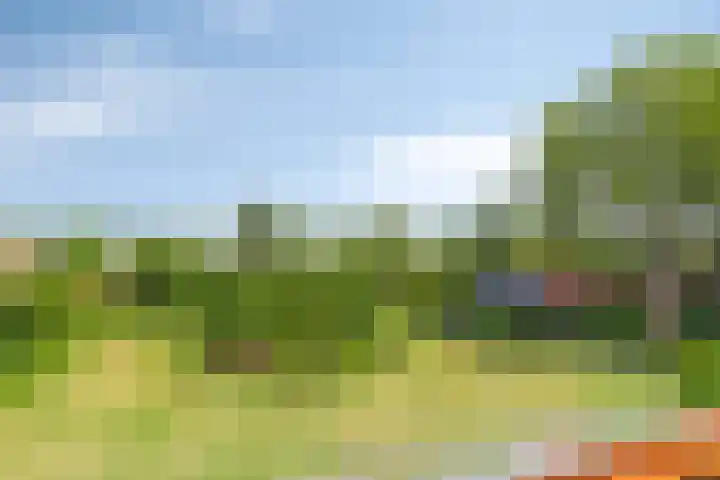 Turfstraat 10 Sprundel thumbnail 4