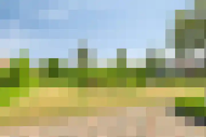Turfstraat 10 Sprundel thumbnail 40
