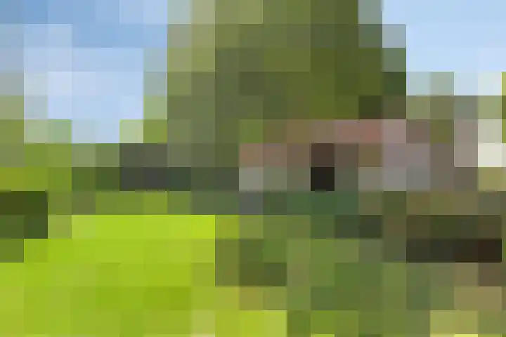 Turfstraat 10 Sprundel thumbnail 41