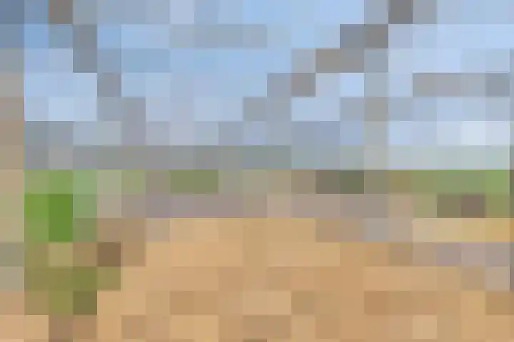 Turfstraat 10 Sprundel thumbnail 48