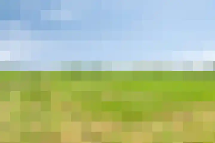 Turfstraat 10 Sprundel thumbnail 50