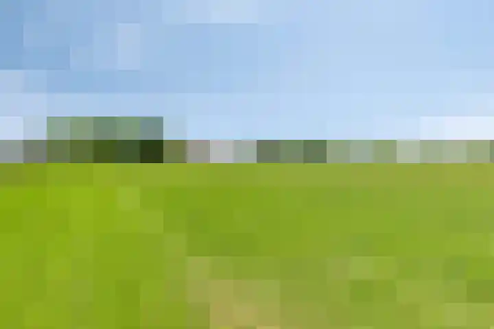 Turfstraat 10 Sprundel thumbnail 51