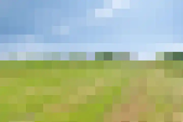 Turfstraat 10 Sprundel thumbnail 52