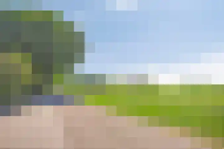 Turfstraat 10 Sprundel thumbnail 53