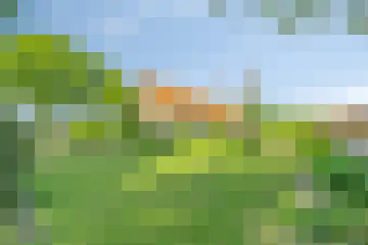 Turfstraat 10 Sprundel thumbnail 8