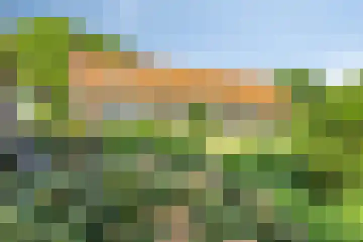 Turfstraat 10 Sprundel thumbnail 9