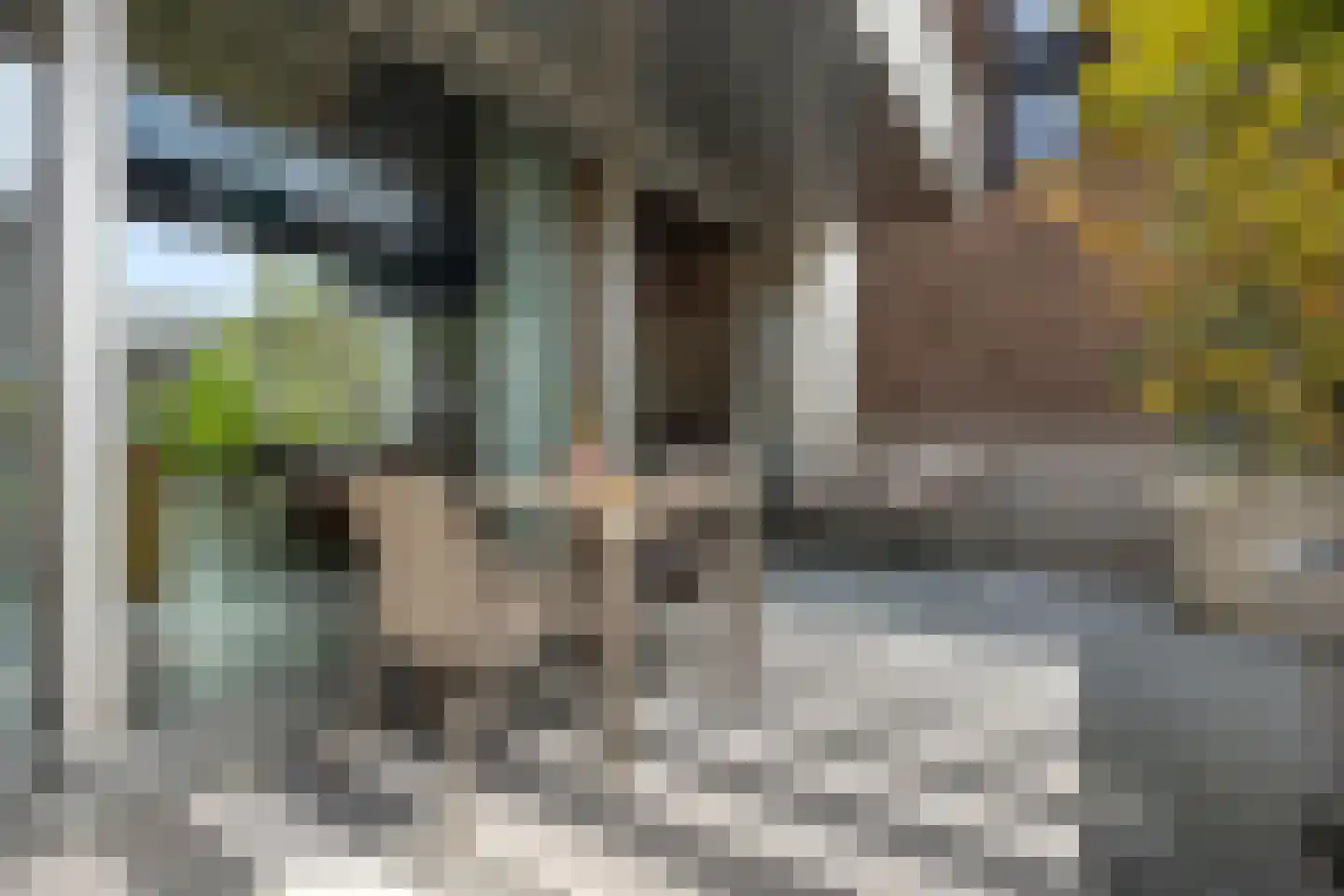 Turfstraat 27 Arnhem thumbnail 18