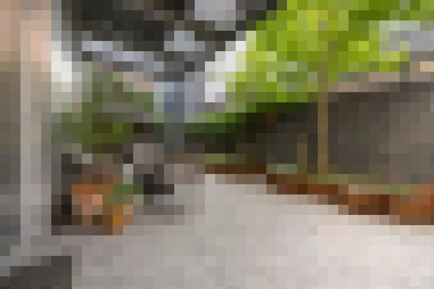 Turfstraat 27 Arnhem thumbnail 38