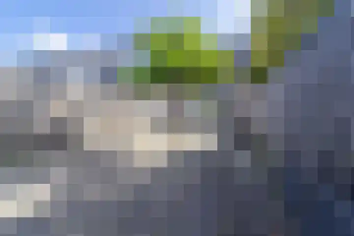 Turfstreek 162 Soest thumbnail 16