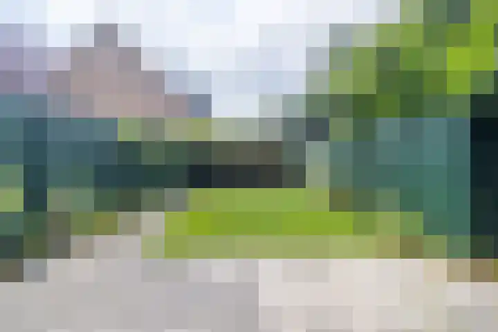 Turfstreek 274 Soest thumbnail 14