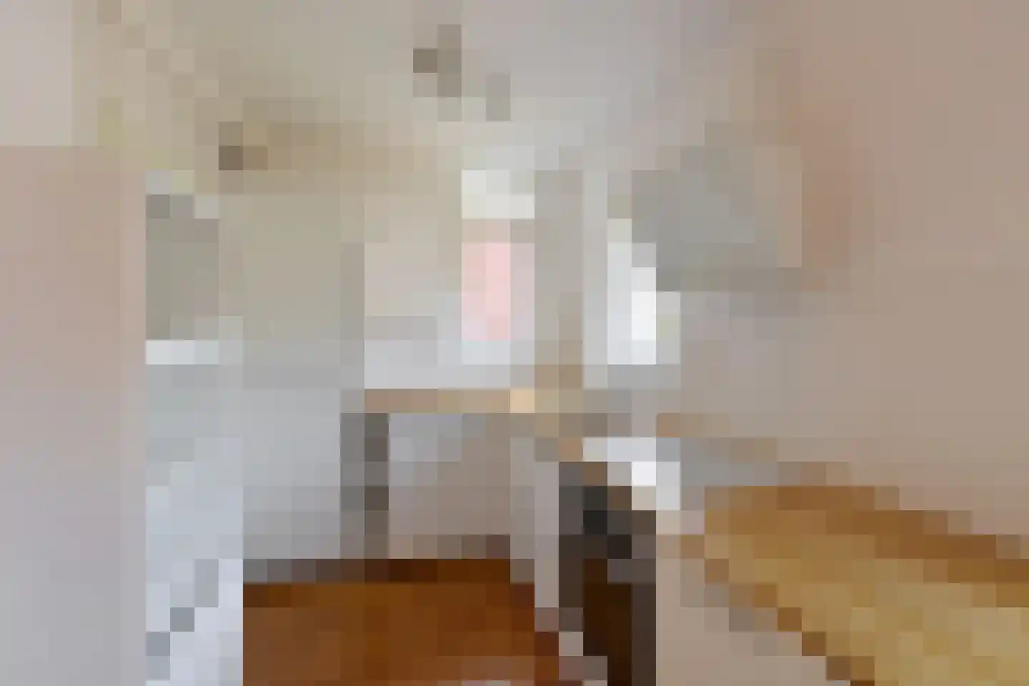 Turfstreek 9 Soest thumbnail 10