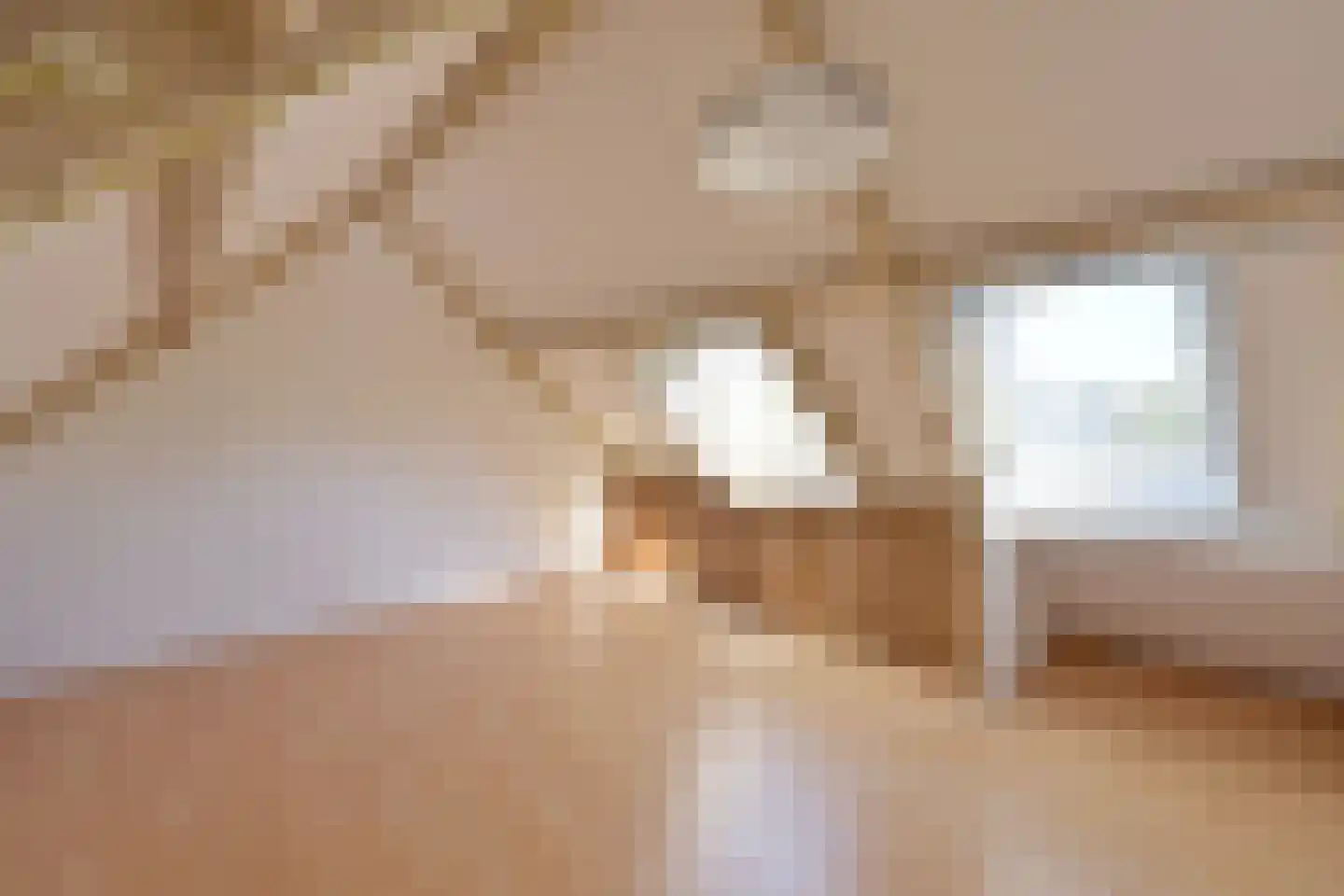 Turfstreek 9 Soest thumbnail 16