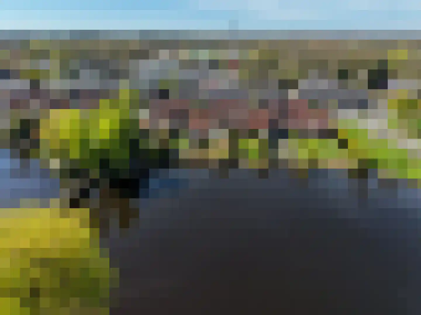 Turfstreek 9 Soest thumbnail 17