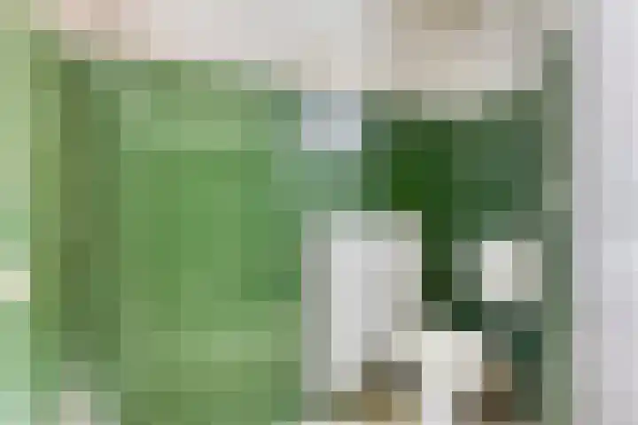 Turfweg 1 Blijham thumbnail 12