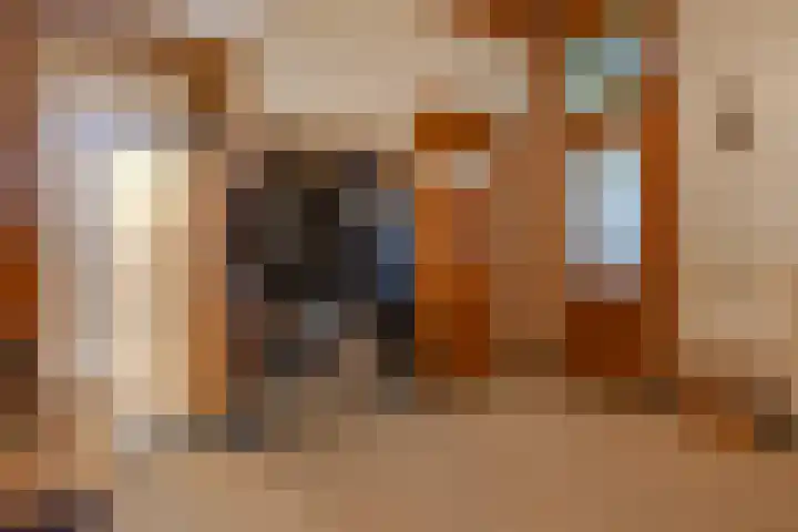 Turfweg 1 Blijham thumbnail 13