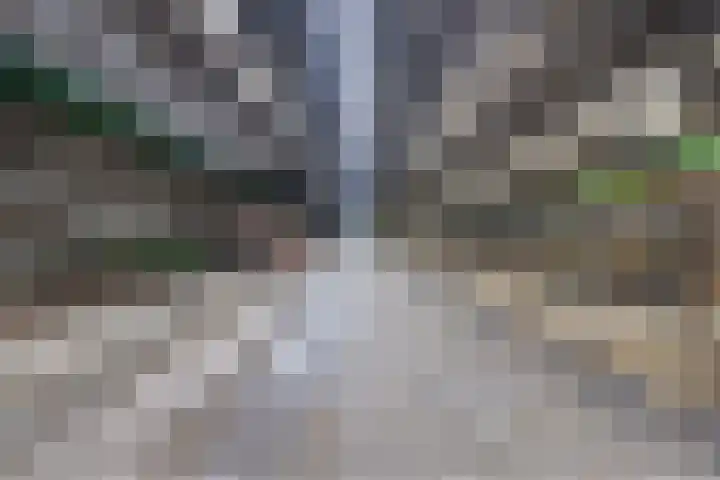 Turfweg 1 Blijham thumbnail 36