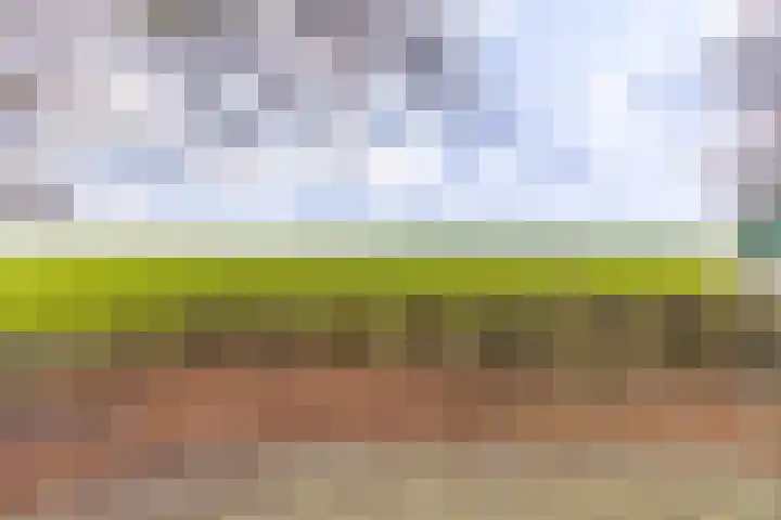 Turfweg 1 Blijham thumbnail 38