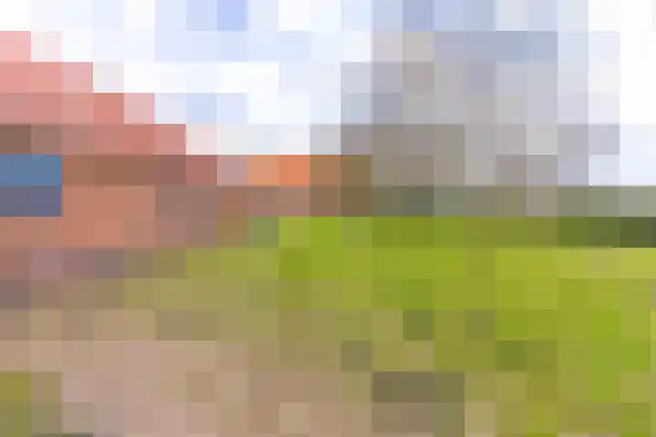 Turfweg 1 Blijham thumbnail 39