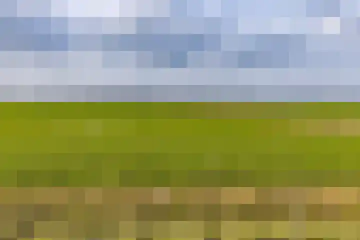Turfweg 1 Blijham thumbnail 4