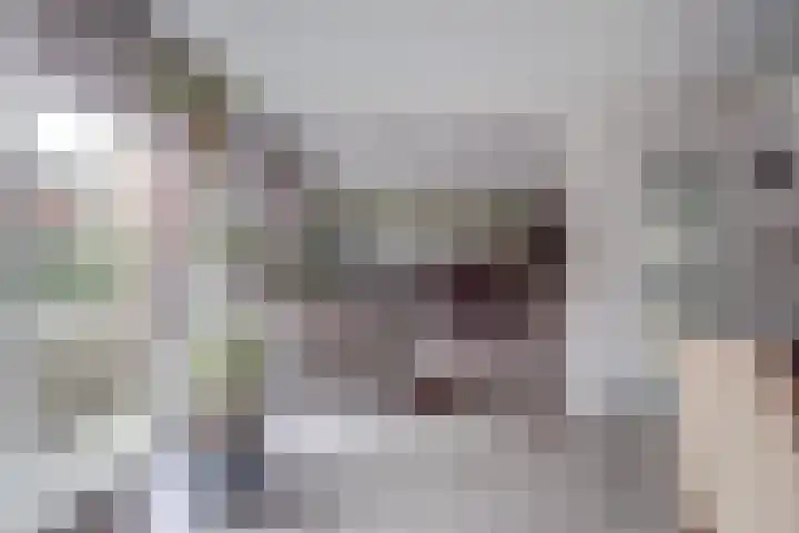Turfweide 10 Hellevoetsluis thumbnail 4