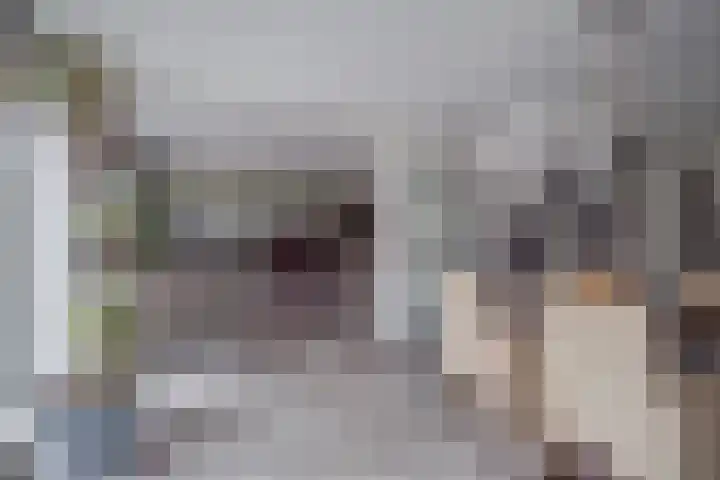 Turfweide 10 Hellevoetsluis thumbnail 5