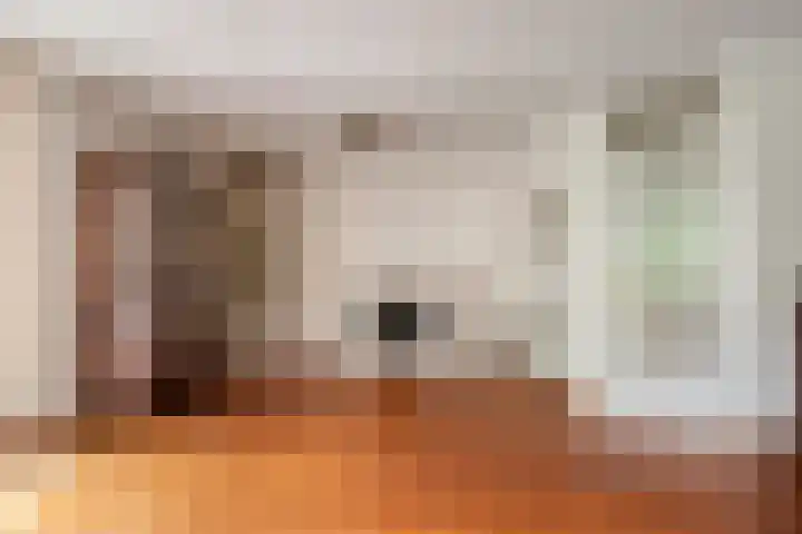 Turkoois 4 Eindhoven thumbnail 13