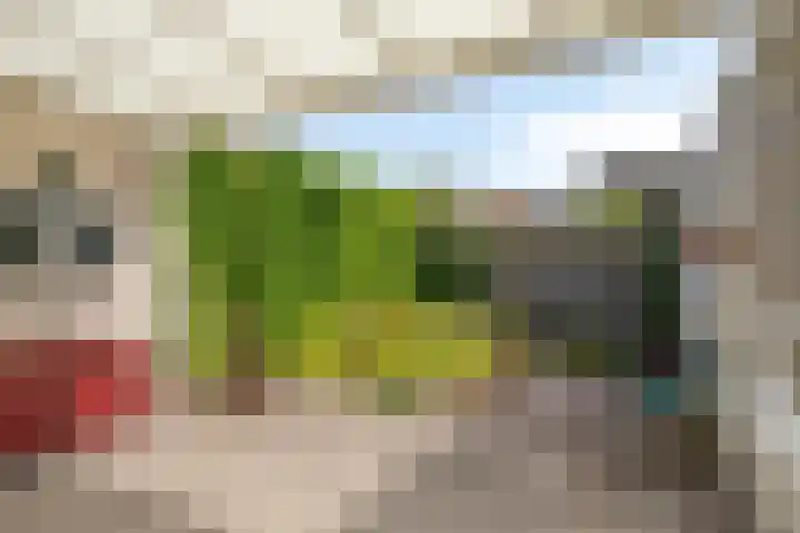Turkoois 4 Eindhoven thumbnail 27