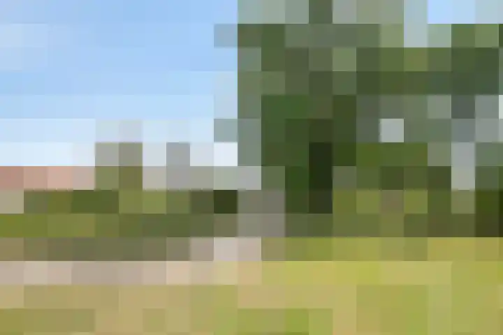 Turkoois 4 Eindhoven thumbnail 35