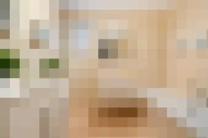 Turkoois 9 Rhoon thumbnail 16