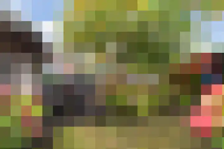 Turkoois 9 Rhoon thumbnail 23