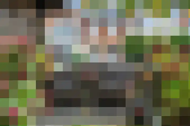 Turkoois 9 Rhoon thumbnail 24