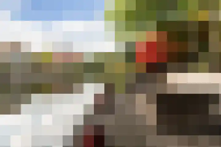 Turkoois 9 Rhoon thumbnail 25