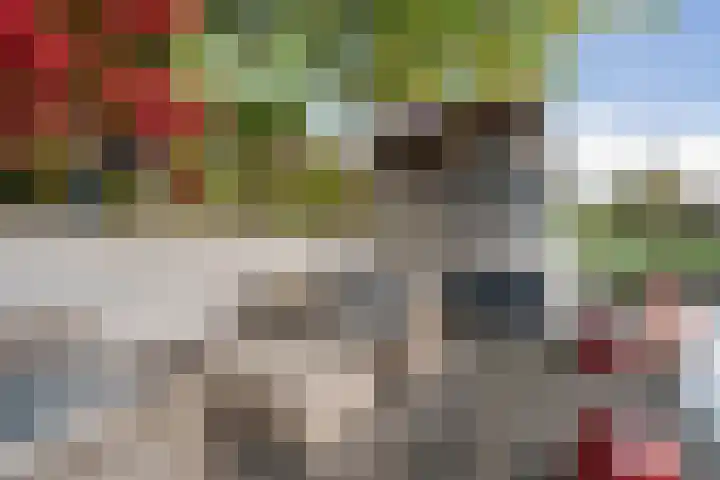 Turkoois 9 Rhoon thumbnail 26
