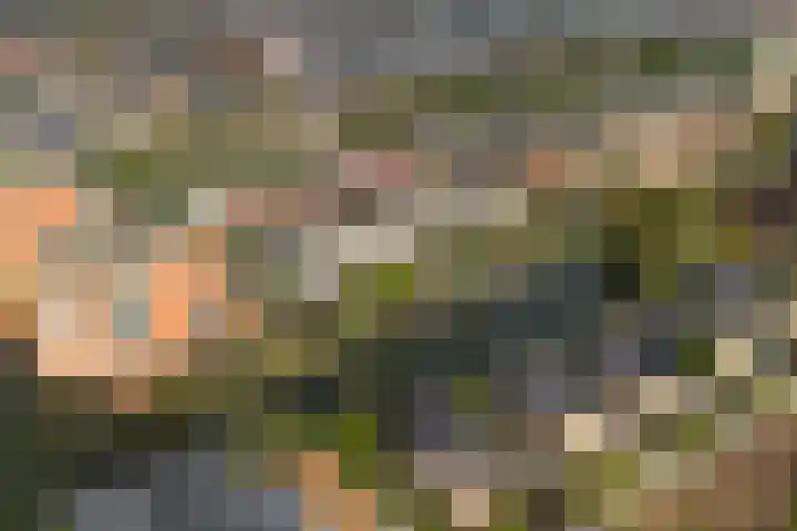 Turkoois 9 Rhoon thumbnail 30