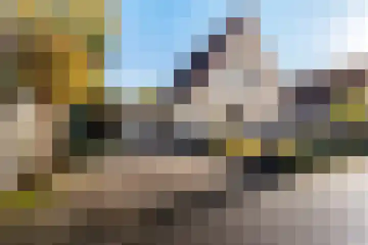 Turkooisdreef 8 Emmen thumbnail 11