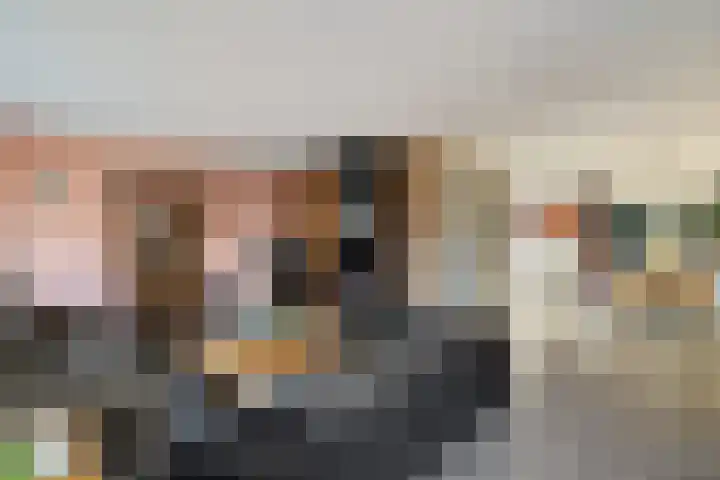 Turkooisdreef 8 Emmen thumbnail 17