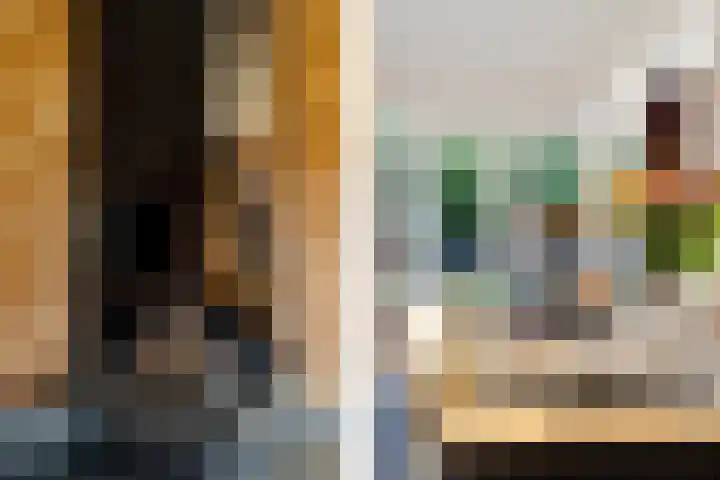 Turkooisdreef 8 Emmen thumbnail 18