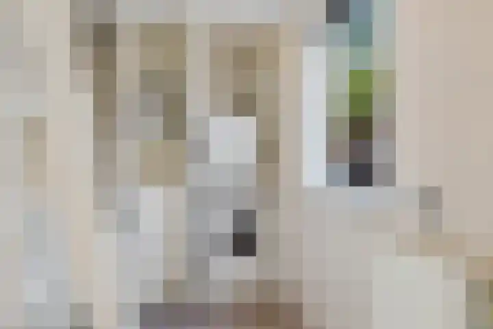 Turkooisdreef 8 Emmen thumbnail 37