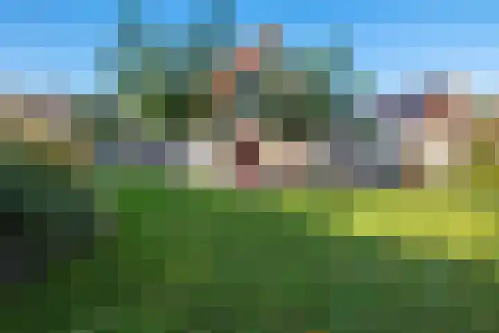 Turkooisdreef 8 Emmen thumbnail 39