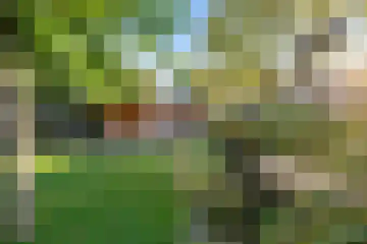 Turkooisdreef 8 Emmen thumbnail 42