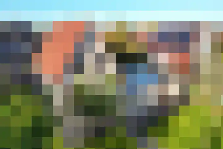 Turkooisdreef 8 Emmen thumbnail 44