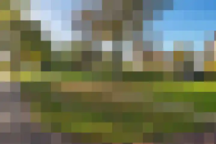 Turkooisdreef 8 Emmen thumbnail 46