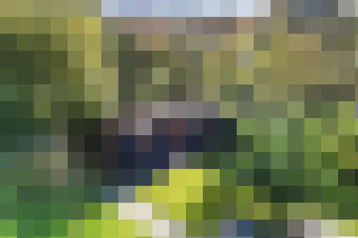 Turkooisdreef 8 Emmen thumbnail 5