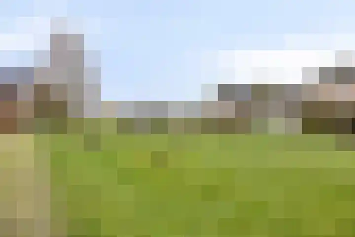 Tusculum 31 Herveld thumbnail 41