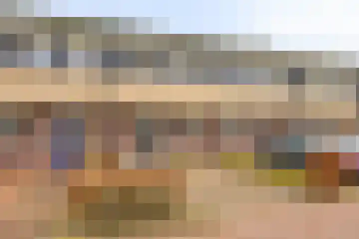 Tusculum 31 Herveld thumbnail 6