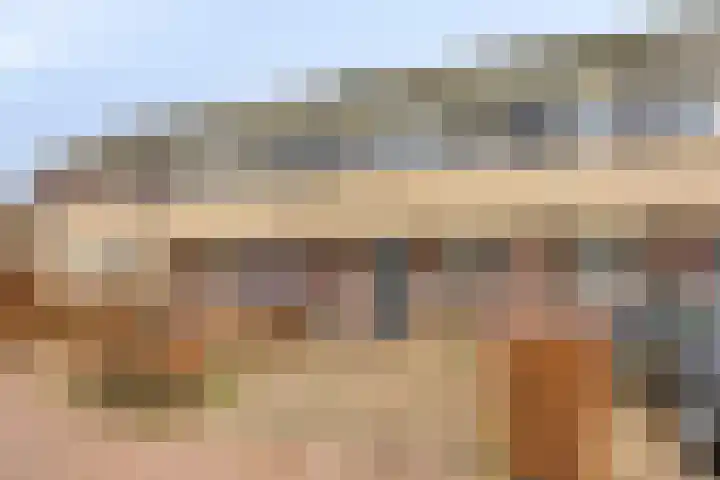 Tusculum 31 Herveld thumbnail 8