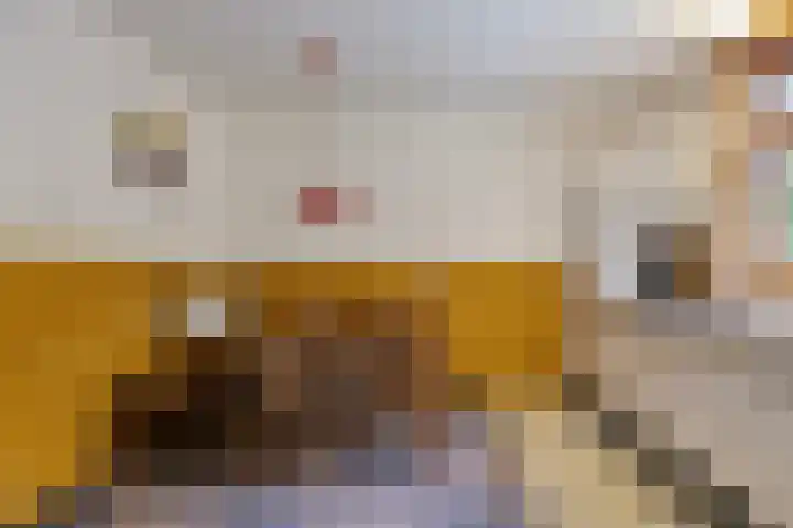 Tusseler 85 Lochem thumbnail 12